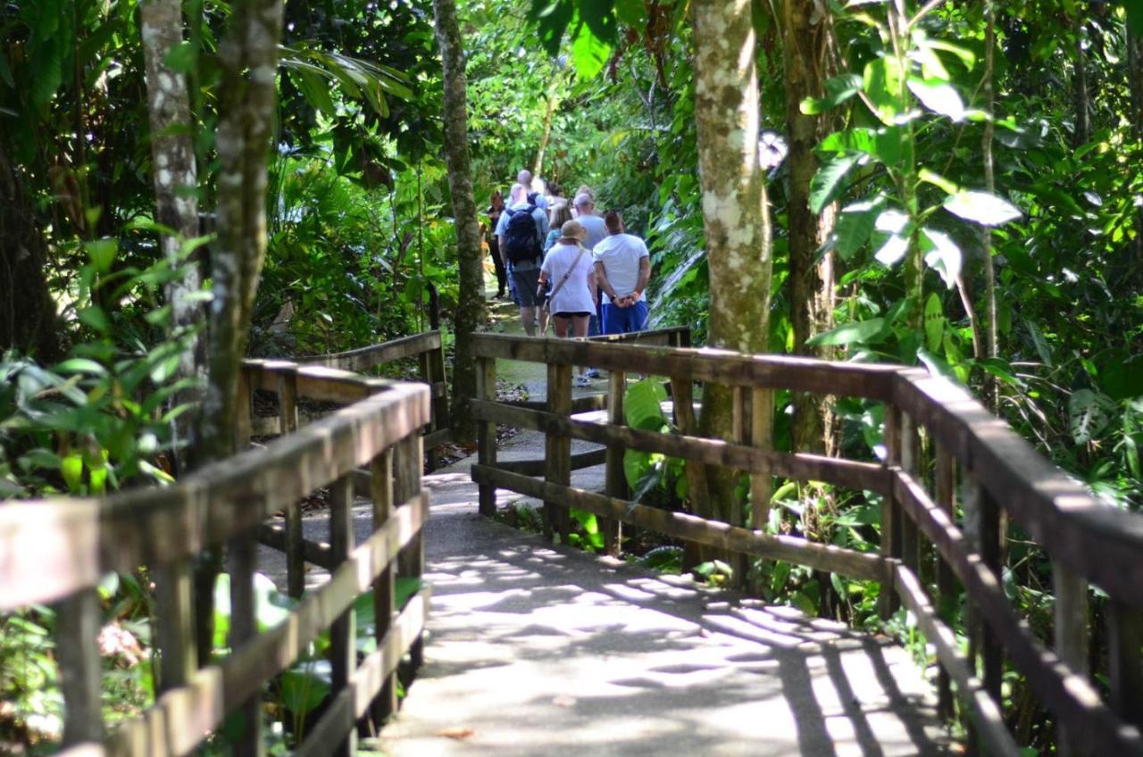 Veragua Rainforest Puerto Limon Kültér fotó
